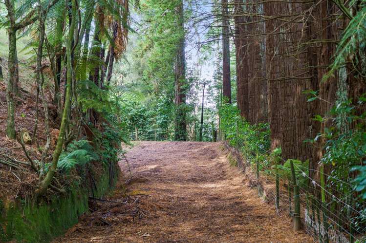 288 Oropi Gorge Road Oropi_38