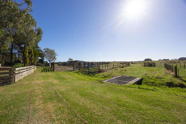 163 Downs Road Himatangi_29