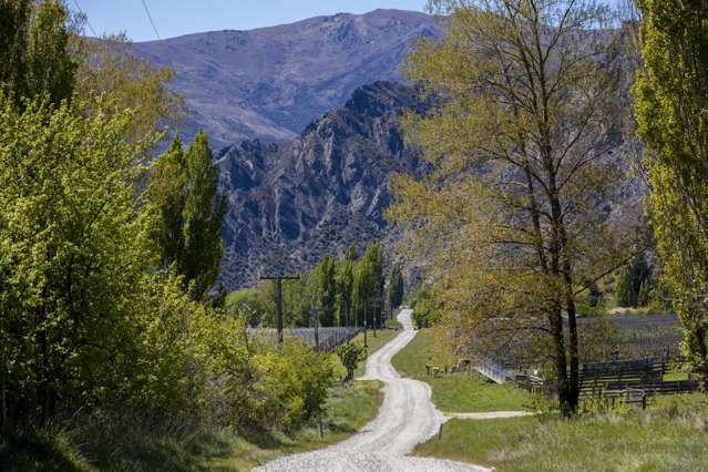 Lot 1/172 Gibbston Back Road Gibbston_4