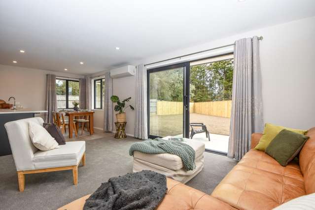 3/93 Harley Street Masterton_4