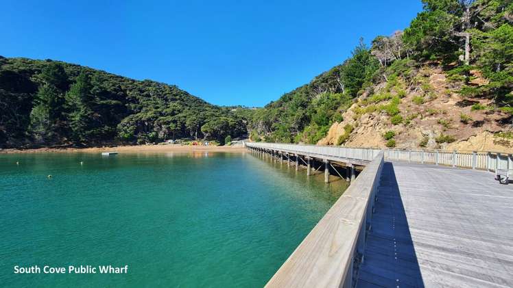 9 Woods Ridge Road Kawau Island_29