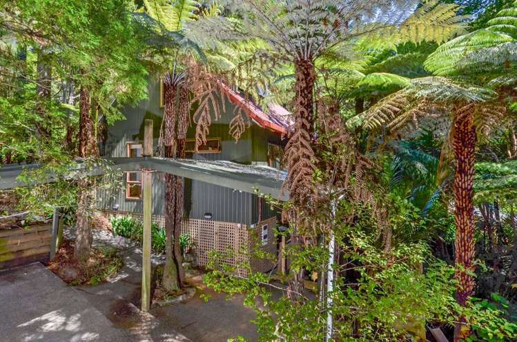 138 Konini Road Titirangi_21