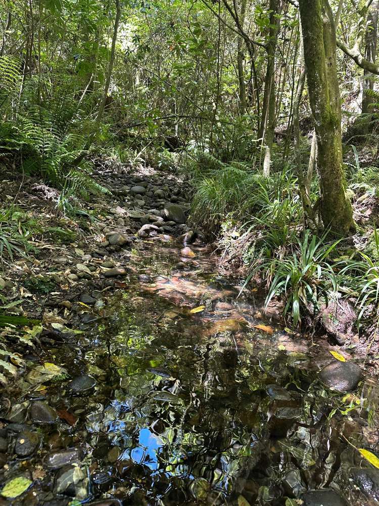 240 Teapot Valley Road Brightwater_43