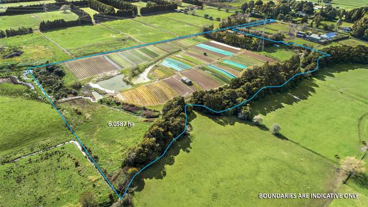 47 Parish Line Road Clevedon_2