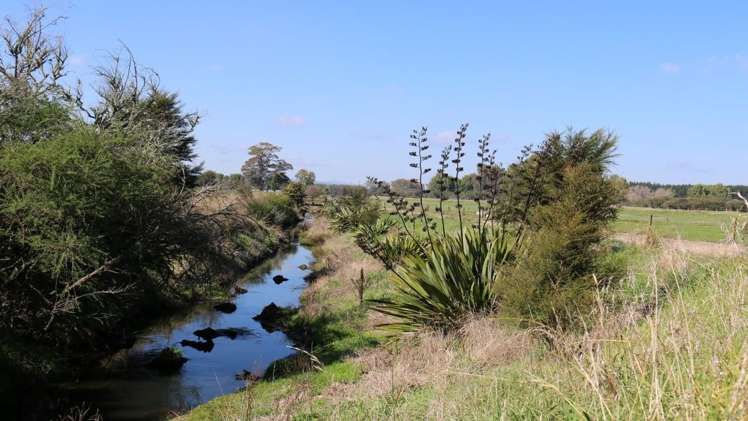 79 Otakiri Soldiers Road Otakiri_15