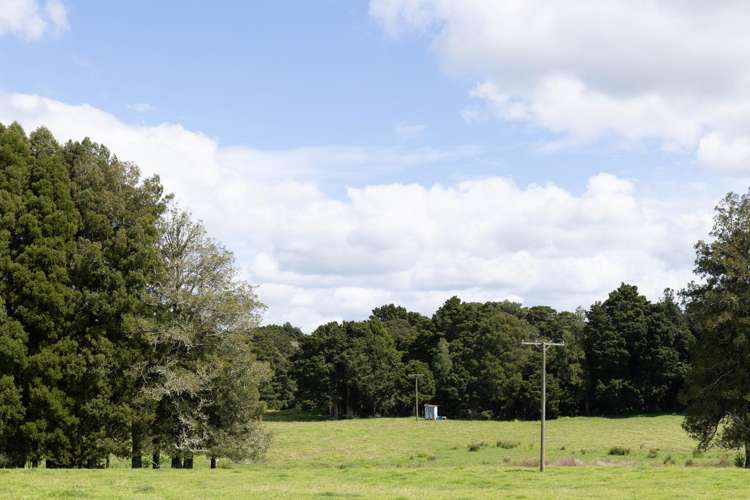 503 Puhipuhi Road Whakapara_35