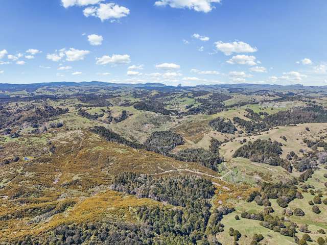 Arcadia Road Paparoa_4
