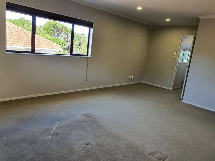 31a Tiverton Road Avondale_22