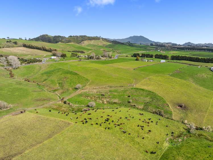 411 Pukekauri Road Waihi_23