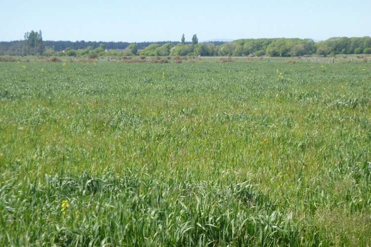 1432 Main North Road Waikuku_0