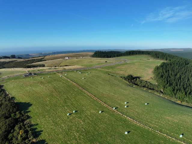 123 Chaplin Road Taieri Mouth_1