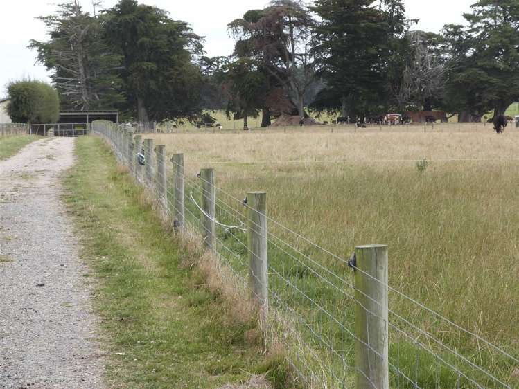 219 Robertson Road Winton Surrounds_19