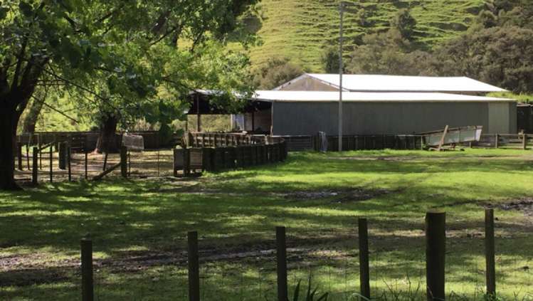 460 Tora Road Tora_15