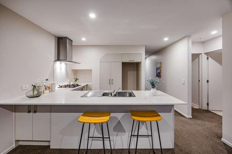 39 Tribute Loop Takanini_10