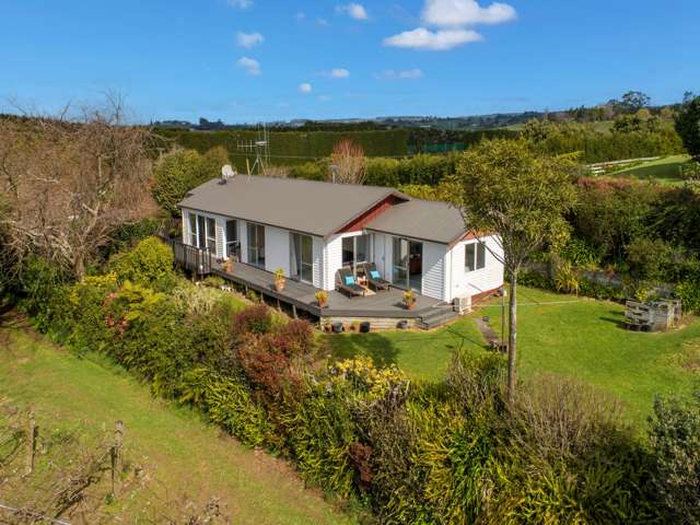 334 Esdaile Road Whakamarama_3