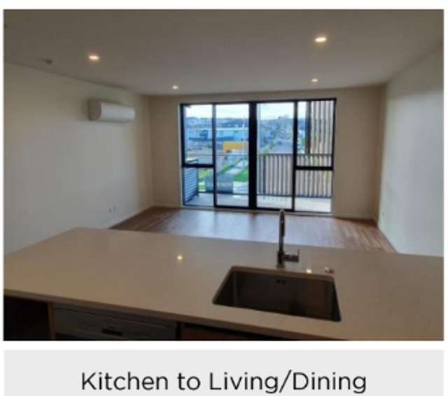393 Ormiston Road Flat Bush_2