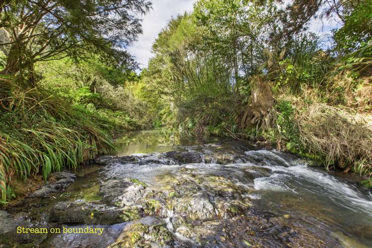 1068a Old Mountain Road Raglan_36