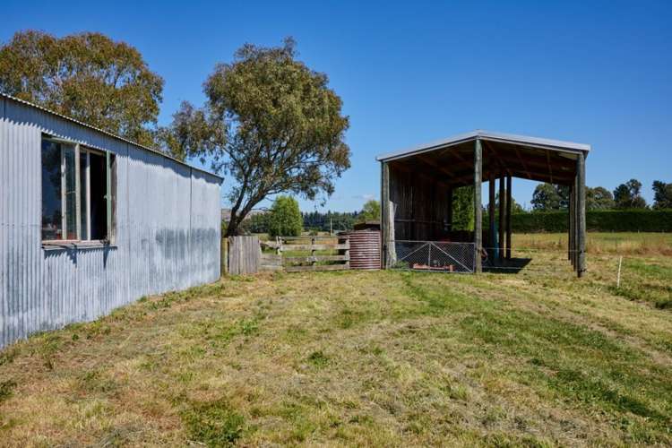 42 Mina Road Cheviot_8