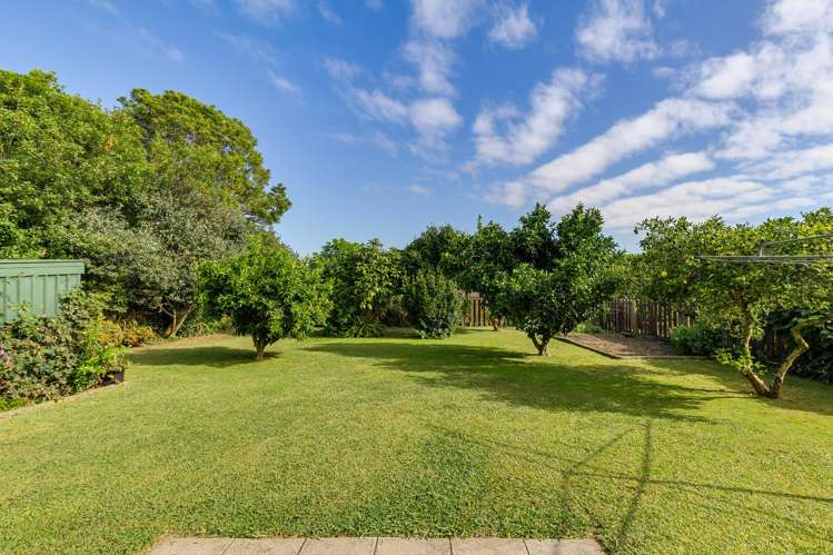 93 North Street Morrinsville_13