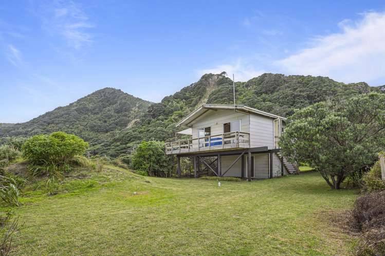 36 North Piha Road Piha_10