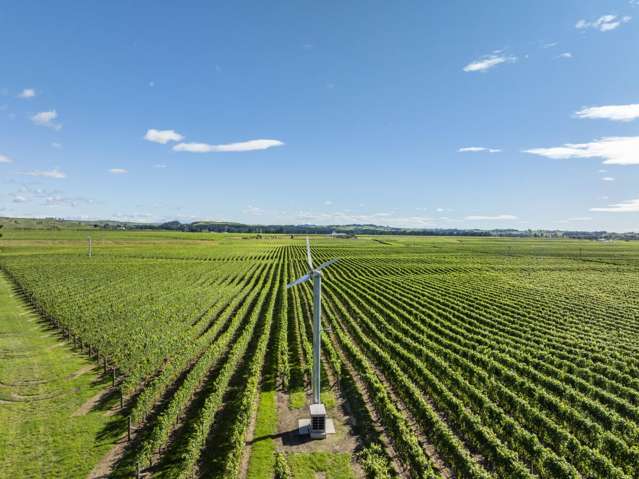 1905 Matapiro Road Crownthorpe_1