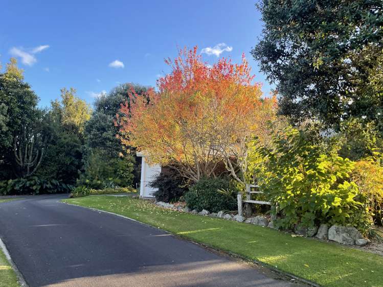 244 Lindemann Road Tahawai_29