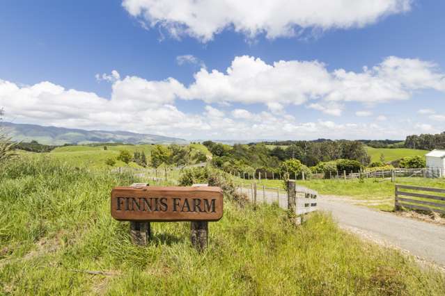648 Finnis Road Pohangina_1