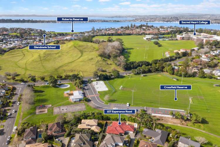 107 Esperance Road Glendowie_18