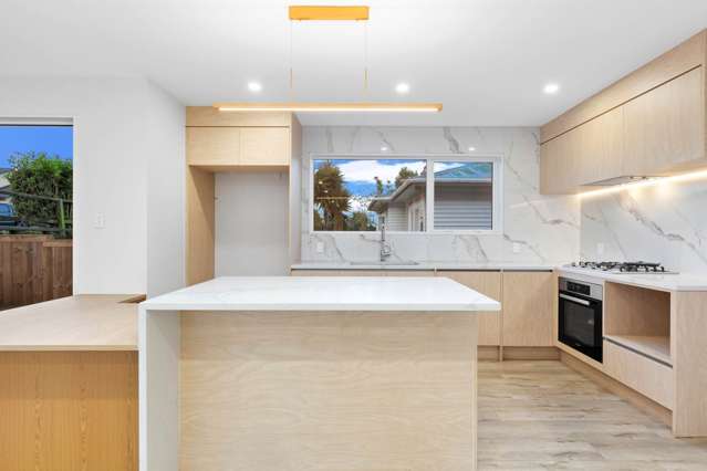 453a Ellerslie-Panmure Highway Mount Wellington_3