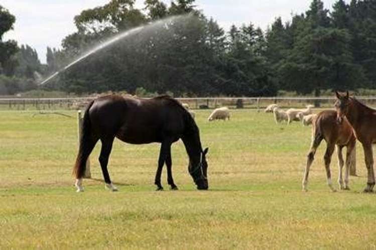 219 Hinds Highway Tinwald_16