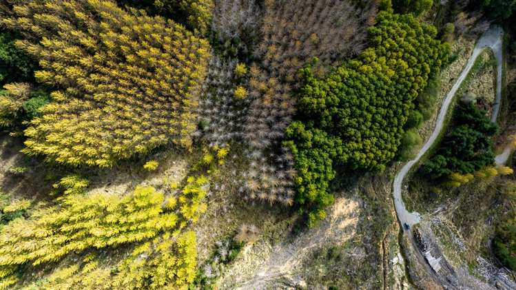 Four Rivers Highway Murchison_20