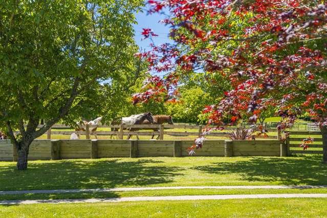 607 State Highway 1 Wairakei_2