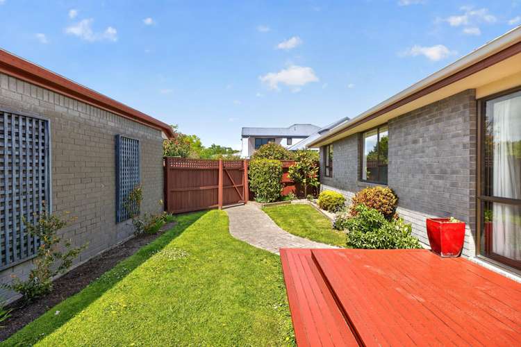 57B Lowry Avenue Redwood_17