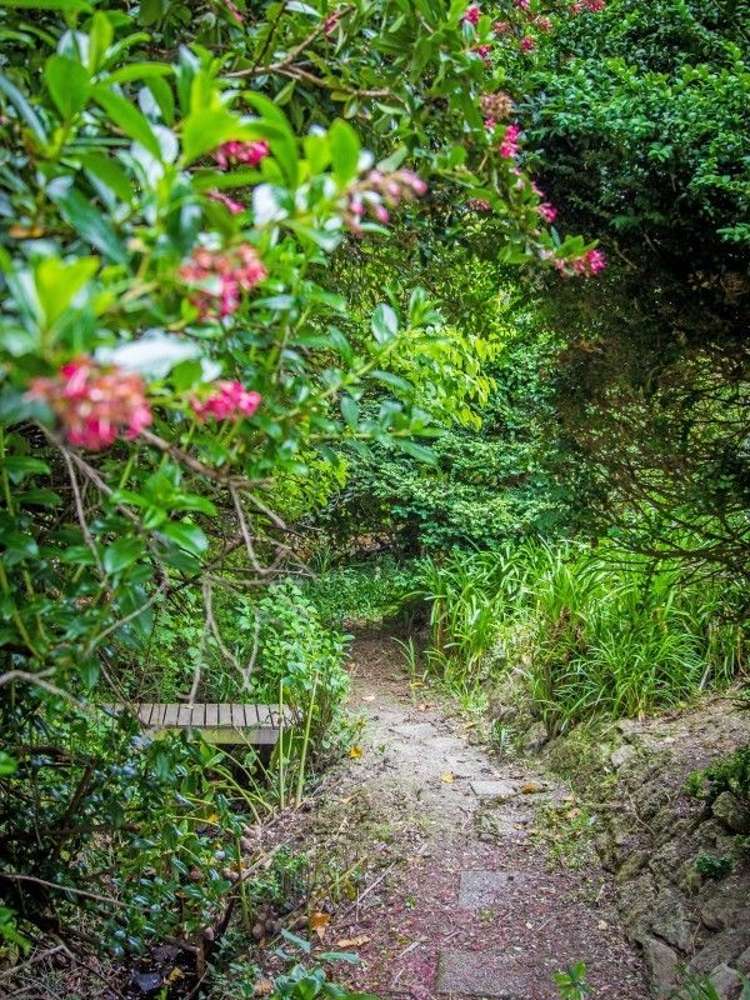 14 Titoki Street Masterton_11