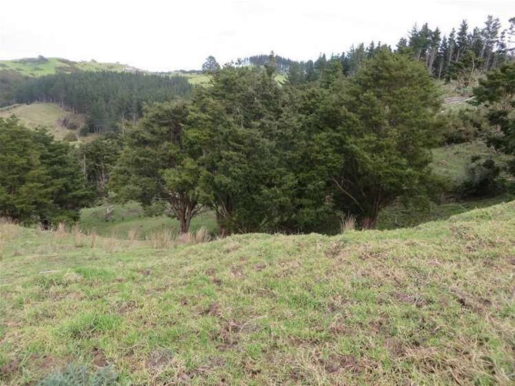 565 Bickerstaffe Road Maungaturoto_3