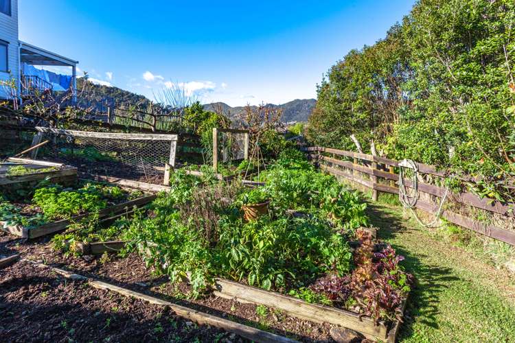 114 Whitehead Way Thames_23