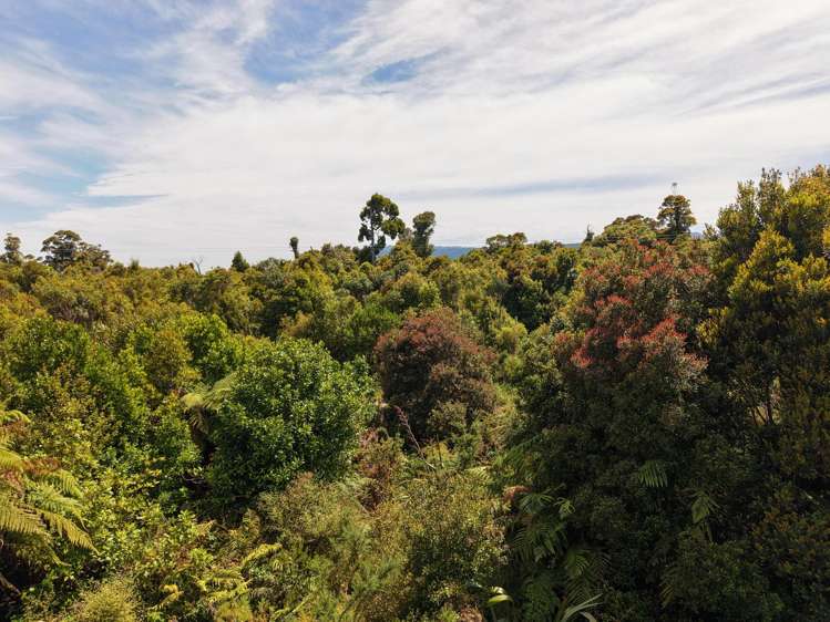 Lot 2 South Terrace Road Karamea_34