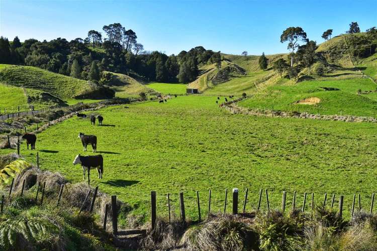 Lot 5/80 Ruatuna Road Waiotahi_7