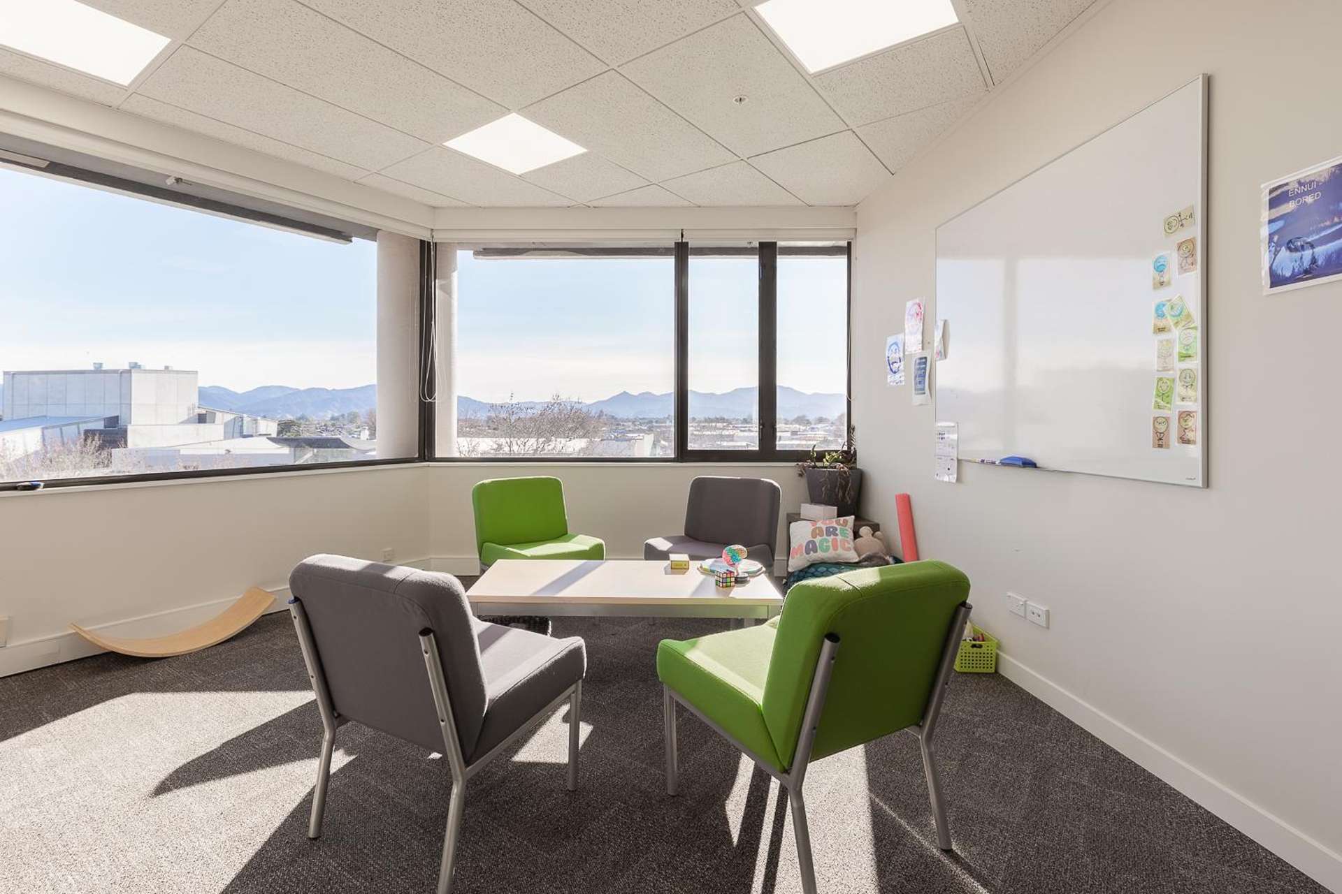 4B/1 Market Street Blenheim_0