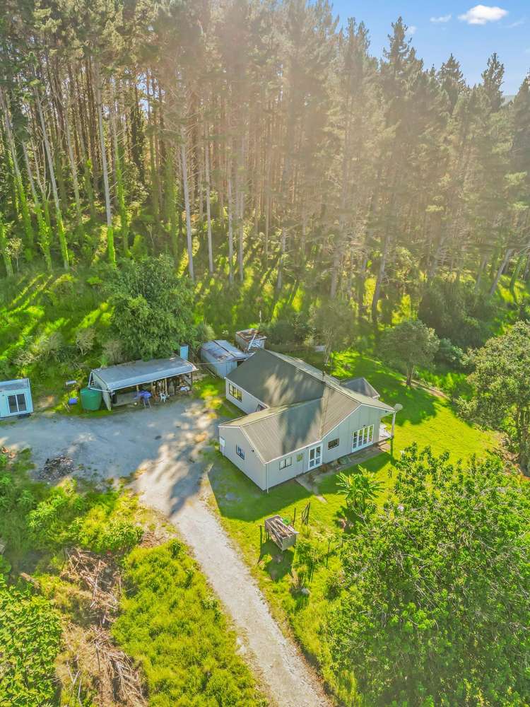 110 Whangape Track Road Broadwood_30