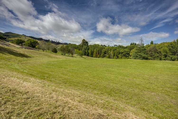 244 Durham Drive Havelock North_5