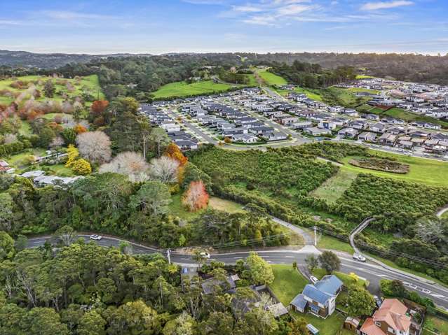 75 and 75a Birdwood Road Swanson_1