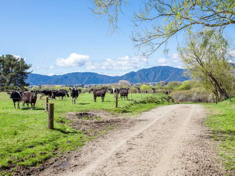 667a Kopuriki Road Murupara Surrounds_8