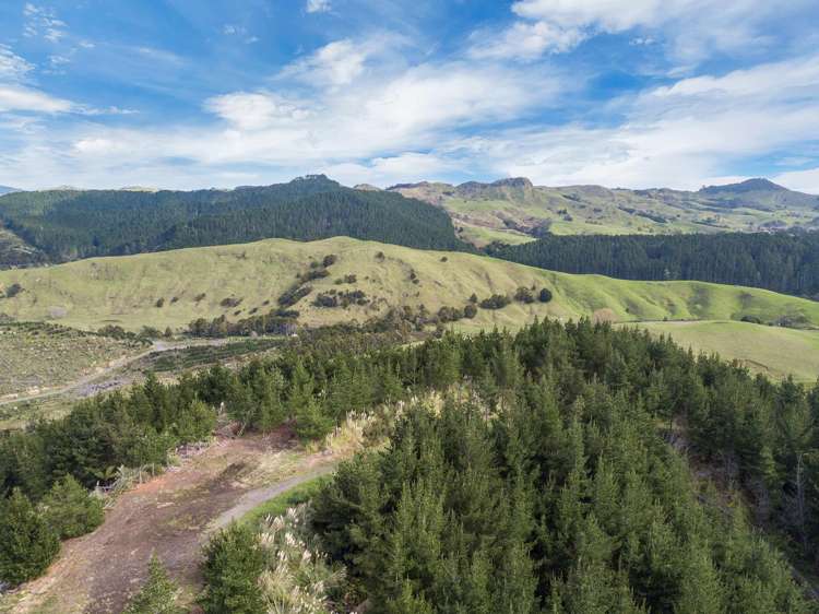 SH 1 Wayby Wellsford_8