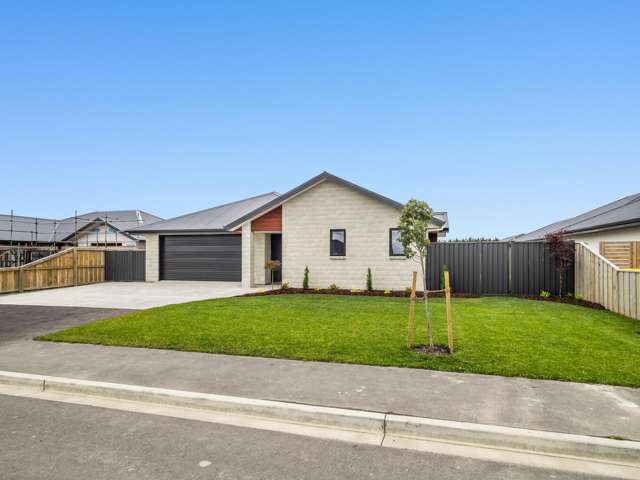 56 Catherine Street Tinwald_1
