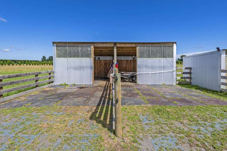 507 Browns Rock Road Burnt Hill_29