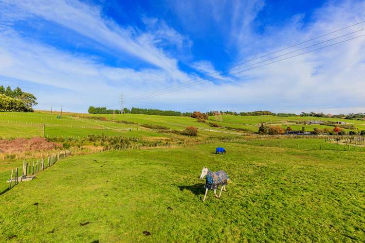 53 Follies Way Dairy Flat_6