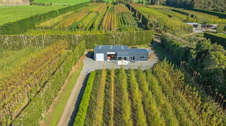 96 Engles Road Shannon_6