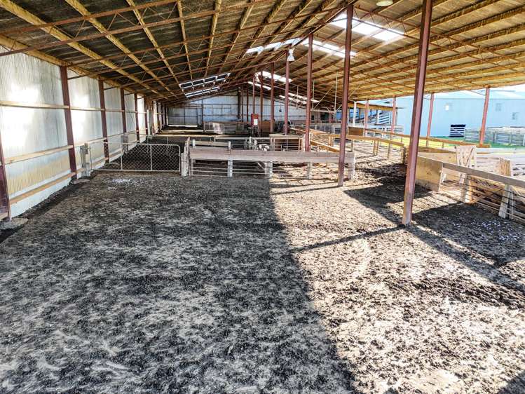 348 Koi Road Waikoikoi_8