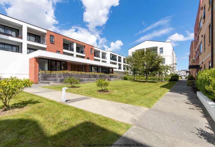 G03/10 Nugget Avenue Hobsonville_15